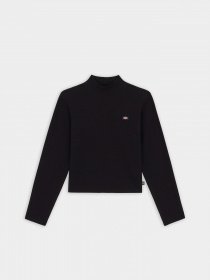 Водолазка Dickies Rysville модель DK0A4YHCBLK1 Фото