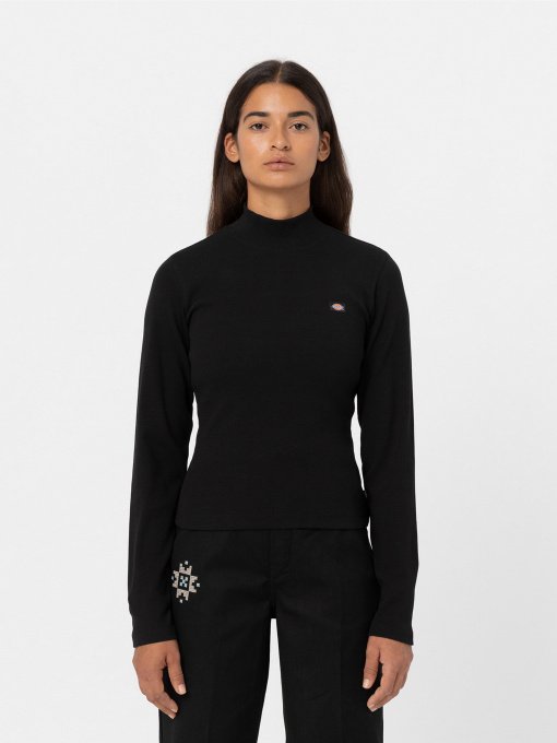 Водолазка Dickies Rysville модель DK0A4YHCBLK1 Фото