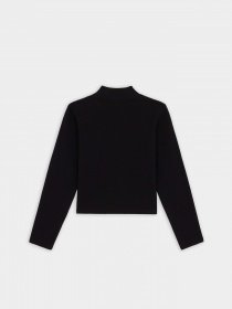 Гольф Dickies Rysville модель DK0A4YHCBLK1 Фото