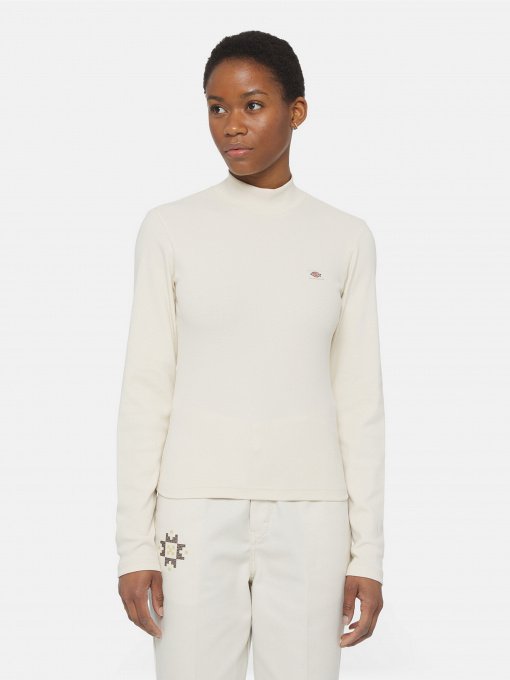 Водолазка Dickies Marysville модель DK0A4YHCF901 Фото