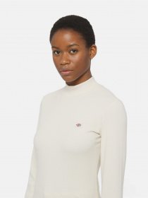 Водолазка Dickies Marysville модель DK0A4YHCF901 Фото