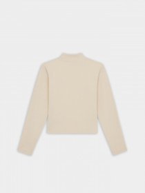 Водолазка Dickies Marysville модель DK0A4YHCF901 Фото