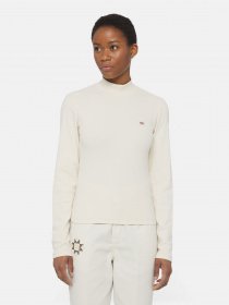 Водолазка Dickies Marysville модель DK0A4YHCF901 Фото