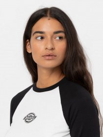 Лонгслив Dickies Sodaville Tee Ls модель DK0A4YHGBLK1 Фото