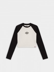 Лонгслив Dickies Sodaville Tee Ls модель DK0A4YHGBLK1 Фото