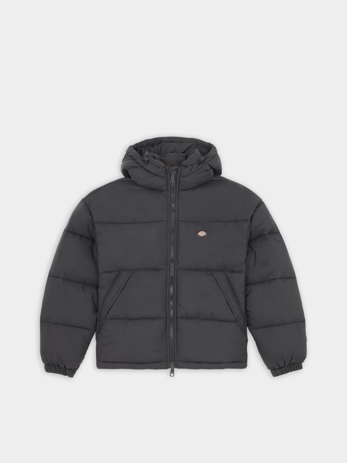 Зимняя куртка Dickies ALATNA OVERSIZED модель DK0A4YJUBLK1 Фото