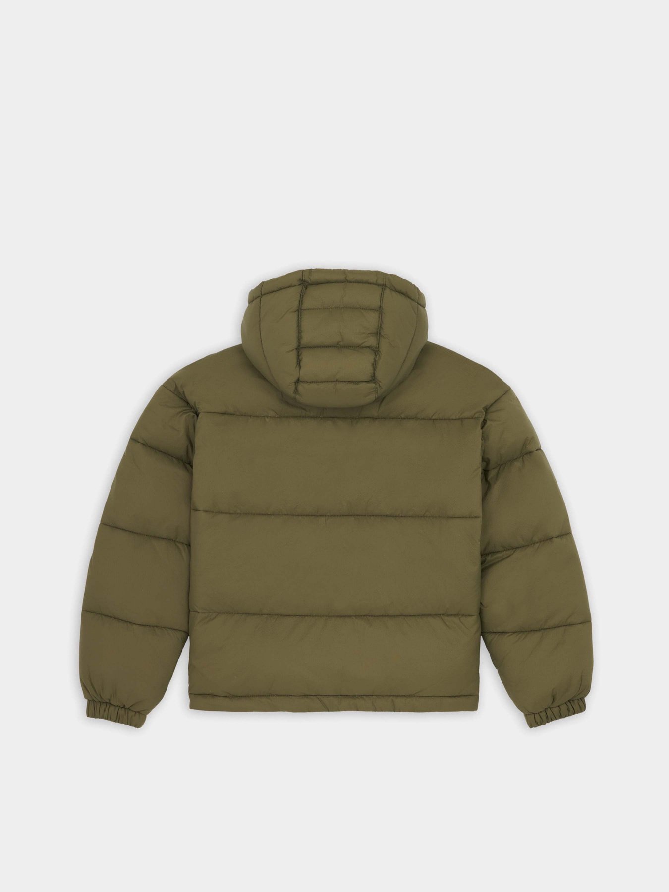 Зимова куртка Dickies ALATNA OVERSIZED модель DK0A4YJUMGR1 Фото