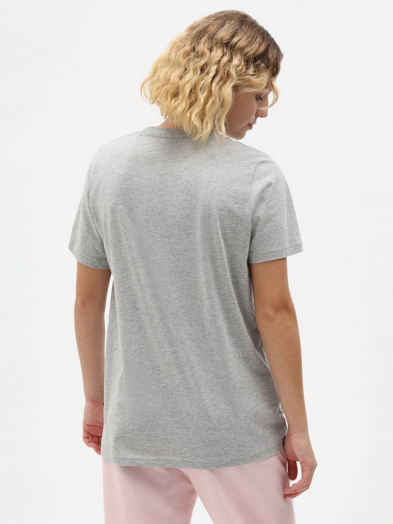 Футболка Dickies Mapleton Cotton-blend модель DK0A4XDAGYM1 Фото