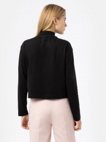 Лонгслів Dickies Mapleton High Neck модель DK0A4Y2JBLK1 Фото