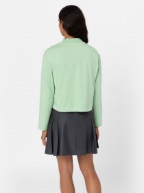 Лонгслив Dickies Mapleton High Neck модель DK0A4Y2JF921 Фото