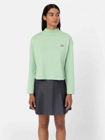 Лонгслив Dickies Mapleton High Neck модель DK0A4Y2JF921 Фото