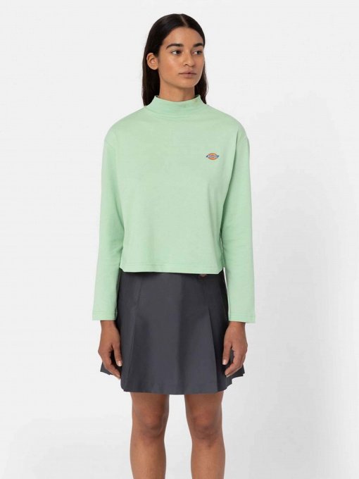 Лонгслив Dickies Mapleton High Neck модель DK0A4Y2JF921 Фото