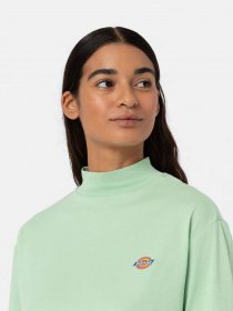 Лонгслів Dickies Mapleton High Neck модель DK0A4Y2JF921 Фото