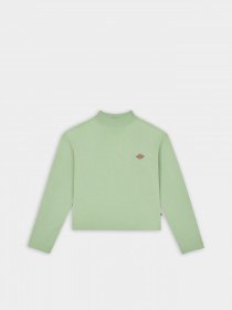 Лонгслів Dickies Mapleton High Neck модель DK0A4Y2JF921 Фото