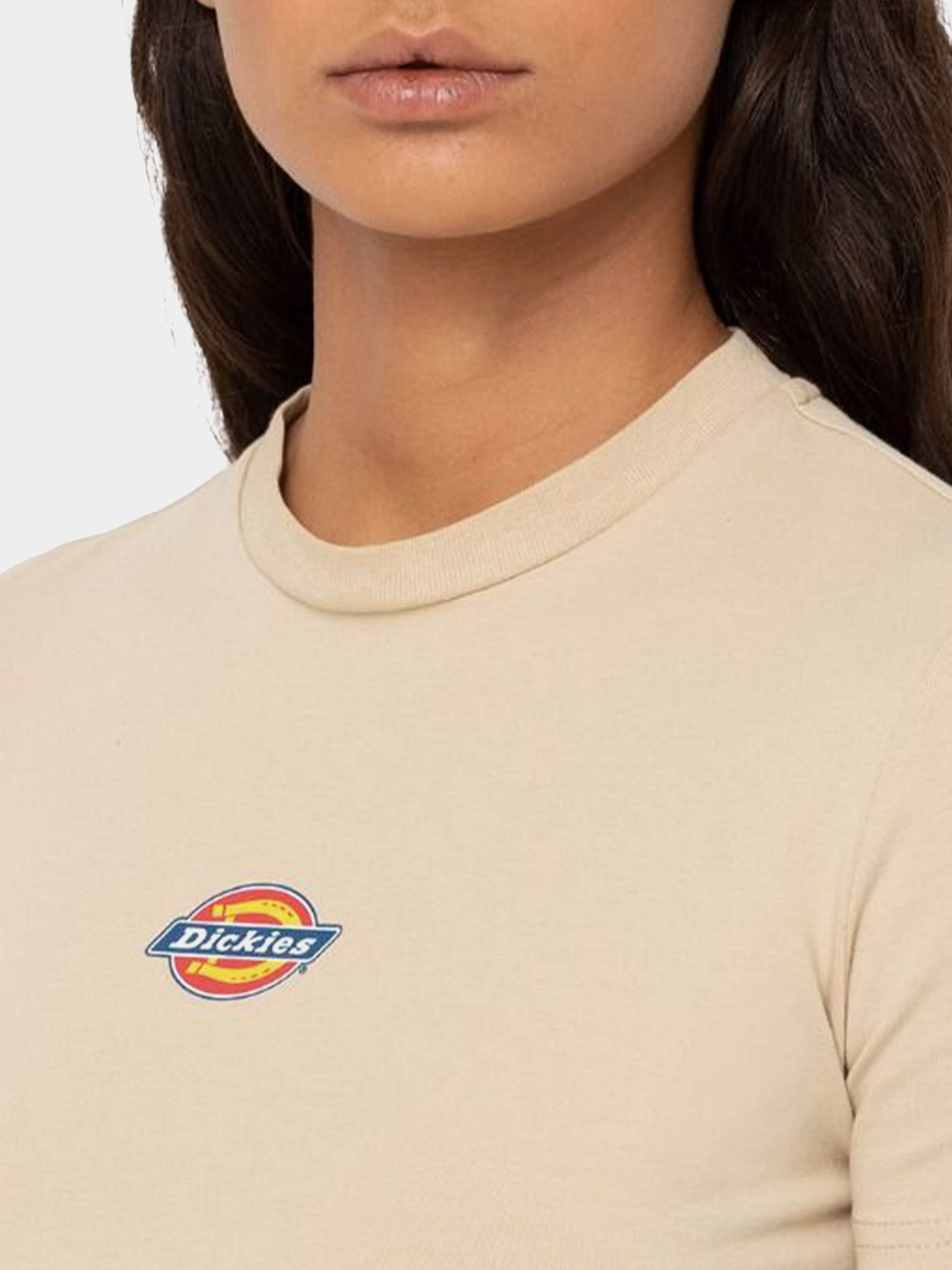 Футболка Dickies Maple Valley модель DK0A4XPOF951 Футболка Dickies Maple Valley модель DK0A4XPOF951 Фото