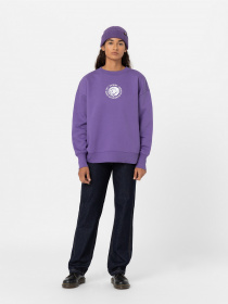 Прямые джинсы Dickies Houston Denim модель DK0A4YGKRIN1 Фото