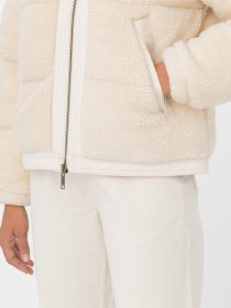 Зимова куртка Dickies Mount Hope Puffer модель DK0A4YGYF901 Фото