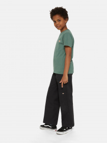 Брюки повседневные Dickies Double Knee Ork модель DK0QP200DCK1 Фото