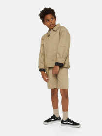 Демісезонна куртка Dickies Lined Eisenhower Cropped модель DK0KJ903DSR1 Фото