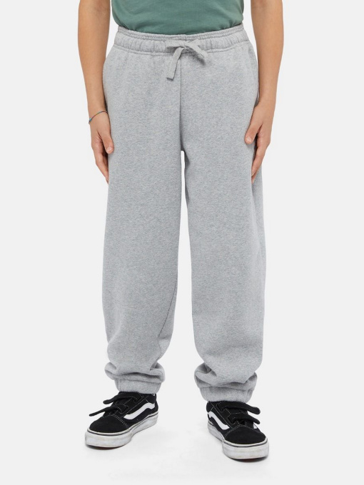 Джоггеры Dickies Mapleton модель DK0KPE040H21 Фото