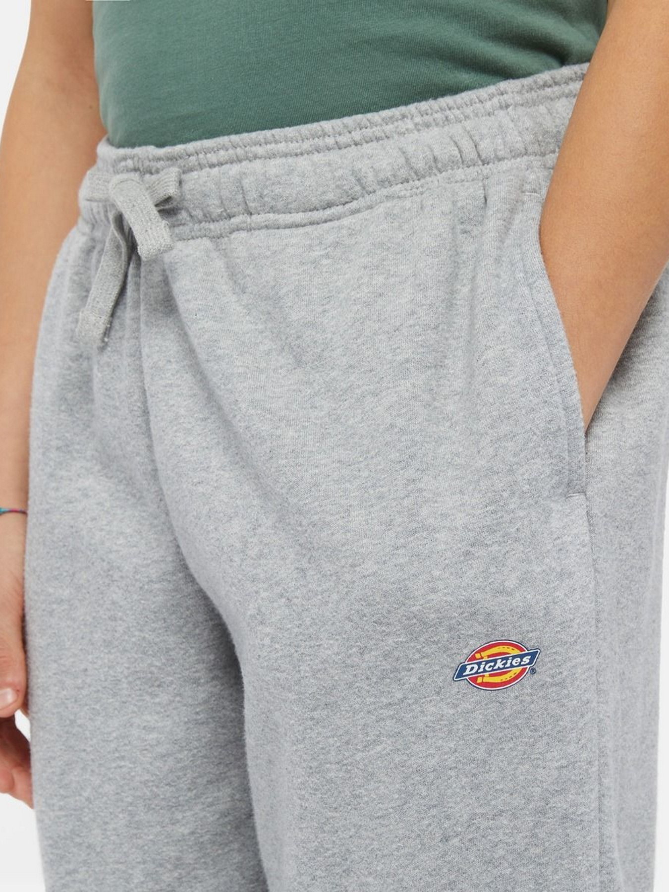 Джогери Dickies Mapleton модель DK0KPE040H21 Фото