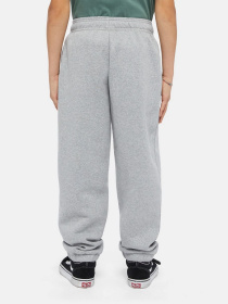 Джогери Dickies Mapleton модель DK0KPE040H21 Фото