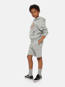 Шорти Dickies Mapleton Модель DK0KRR330H21 Фото