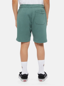 Шорти Dickies Mapleton Модель DK0KRR33H151 Фото