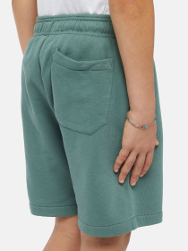 Шорти Dickies Mapleton Модель DK0KRR33H151 Фото