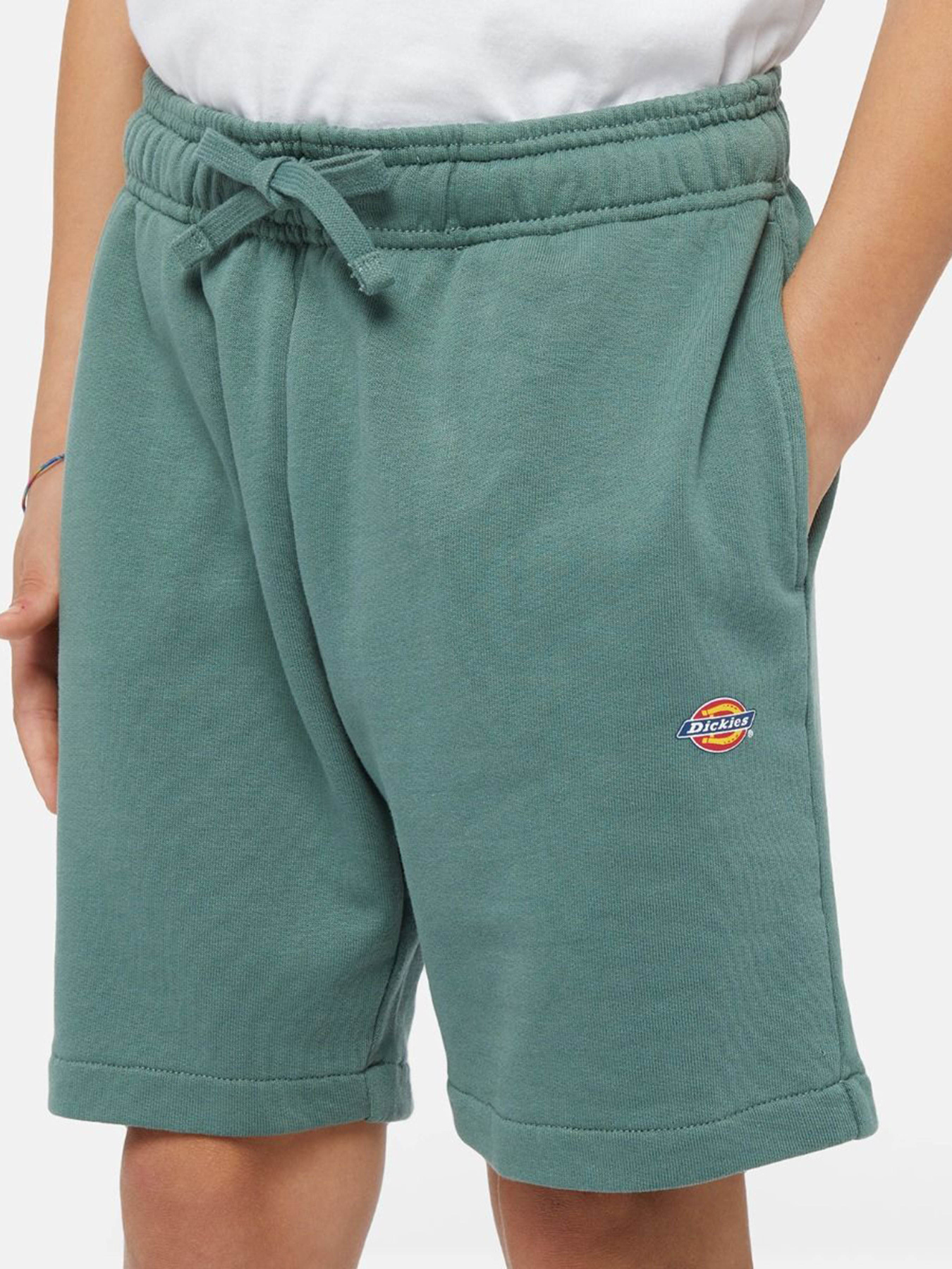 Повседневные шорты Dickies Mapleton модель DK0KRR33H151 Фото
