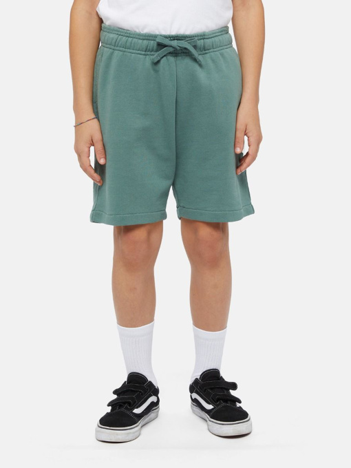 Повсякденні шорти Dickies Mapleton модель DK0KRR33H151 Фото