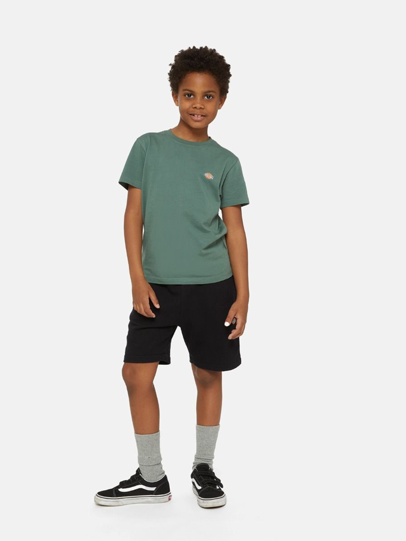 Шорти Dickies Mapleton Модель DK0KRR33KBK1 Фото