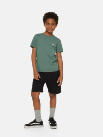 Шорти Dickies Mapleton Модель DK0KRR33KBK1 Фото