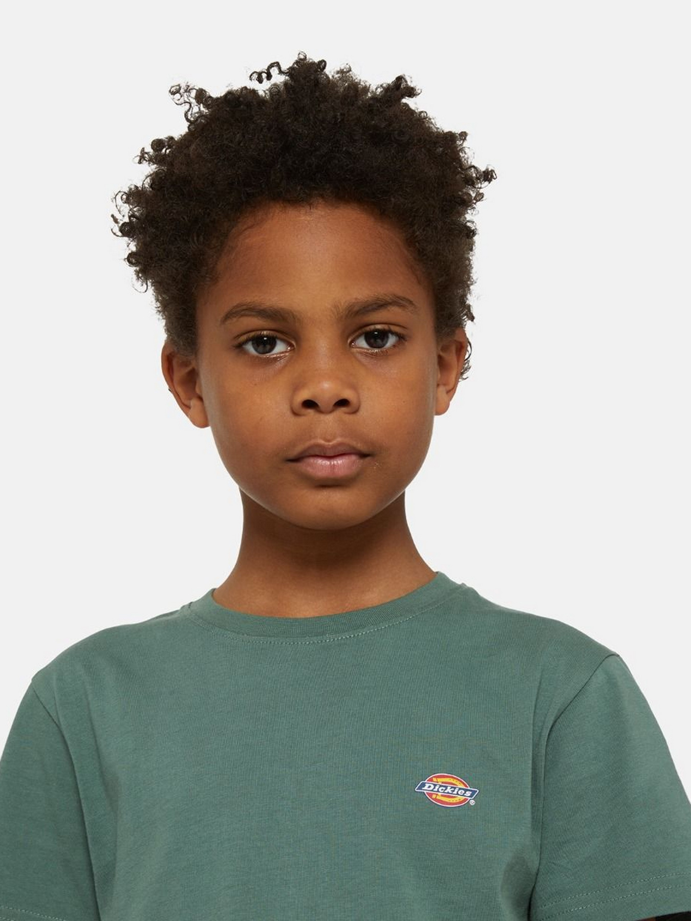 Футболка Dickies Mapleton модель DK0KSR64H151 Фото