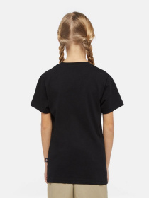 Футболка Dickies Mapleton Модель DK0KSR64KBK1 Фото