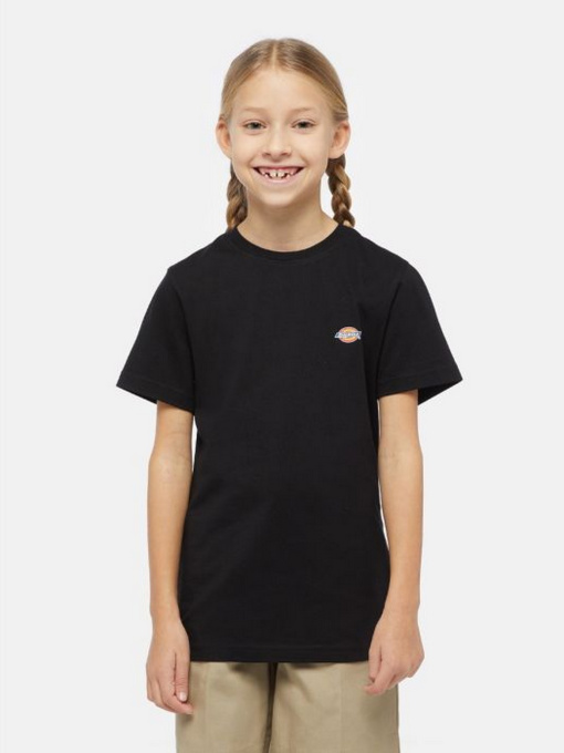 Футболка Dickies Mapleton модель DK0KSR64KBK1 Фото