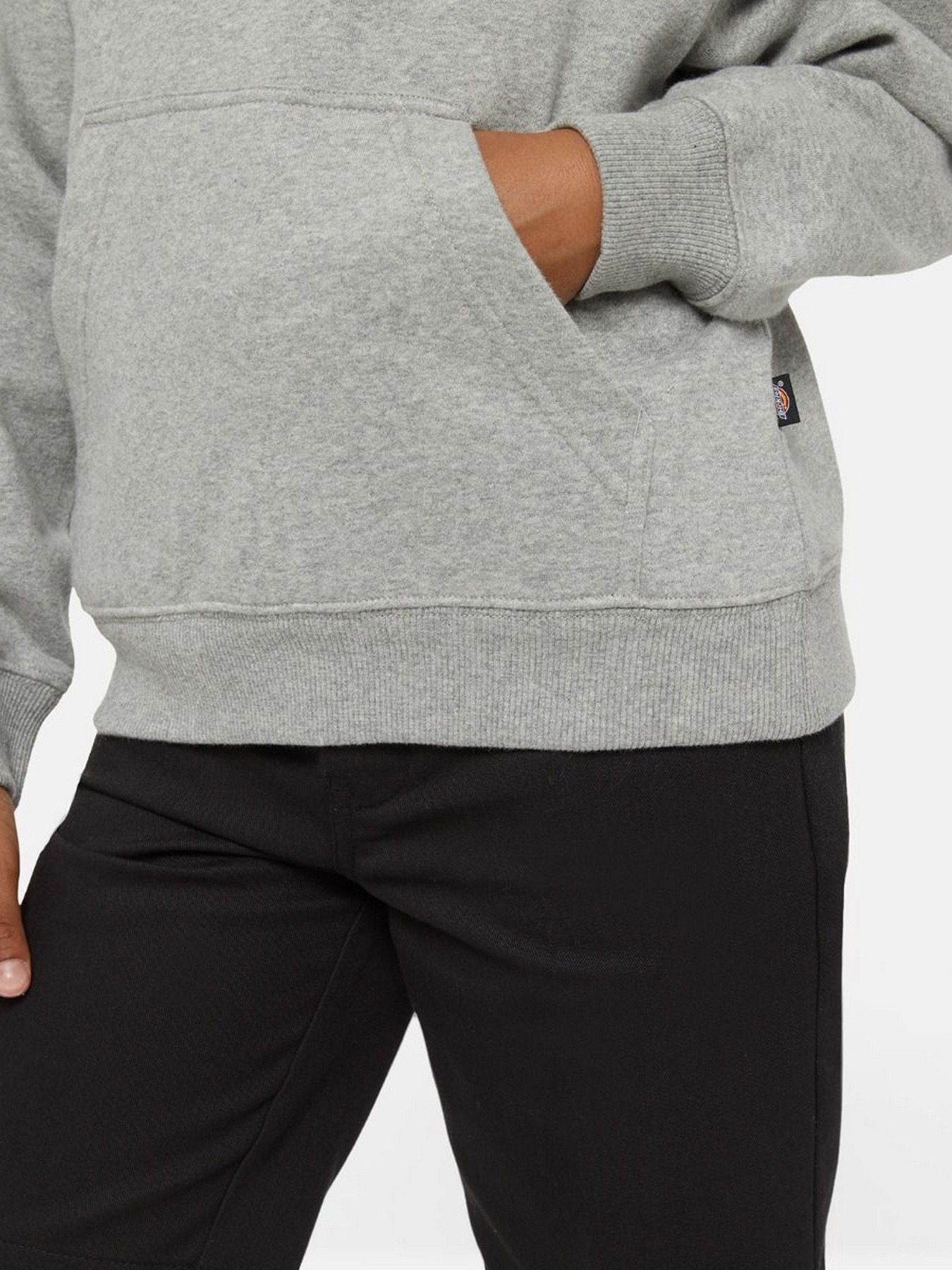 Худі Dickies Oakport модель DK0KWR120H21 Фото