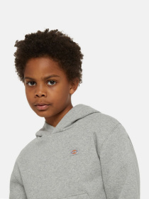 Худі Dickies Oakport модель DK0KWR120H21 Фото