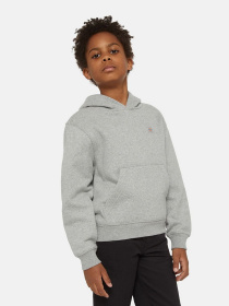 Худи Dickies Oakport модель DK0KWR120H21 Фото