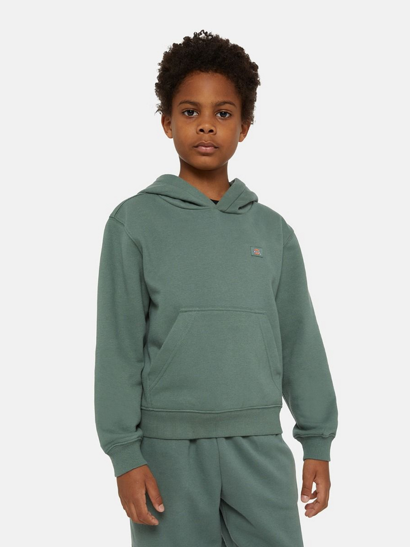 Худі Dickies Oakport модель DK0KWR12H151 Фото