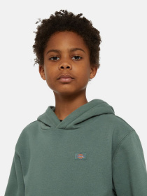 Худі Dickies Oakport модель DK0KWR12H151 Фото