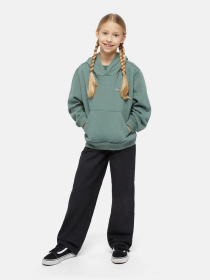 Худі Dickies Oakport модель DK0KWR12H151 Фото