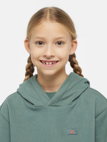 Худі Dickies Oakport модель DK0KWR12H151 Фото