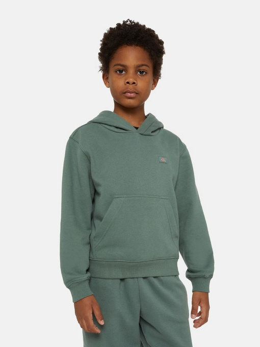 Худі Dickies Oakport модель DK0KWR12H151 Фото