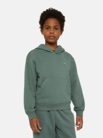 Худи Dickies Oakport модель DK0KWR12H151 Фото