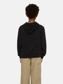 Худі Dickies Oakport модель DK0KWR12KBK1 Фото