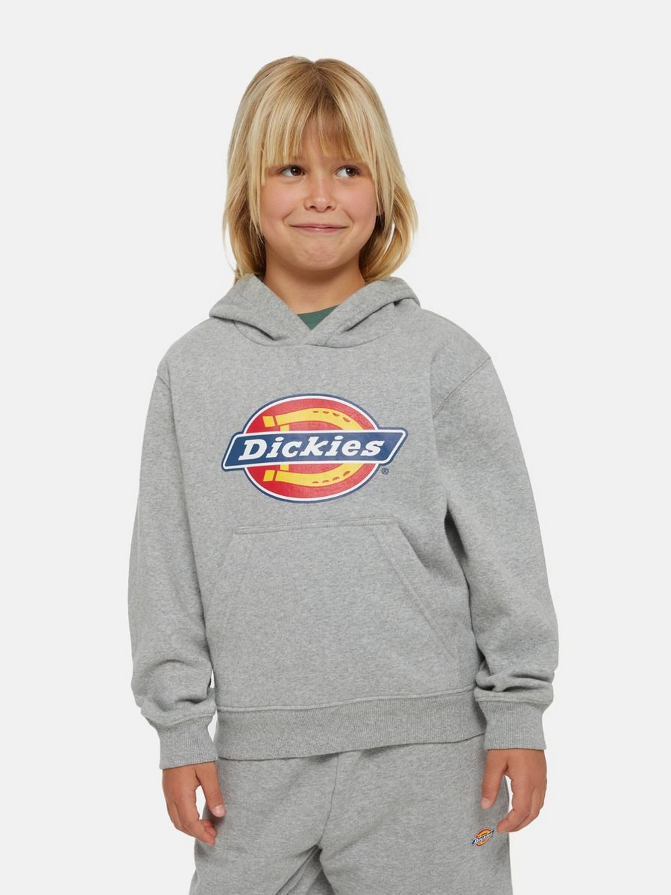 Худи Dickies Icon Logo модель DK0KWR270H21 Фото