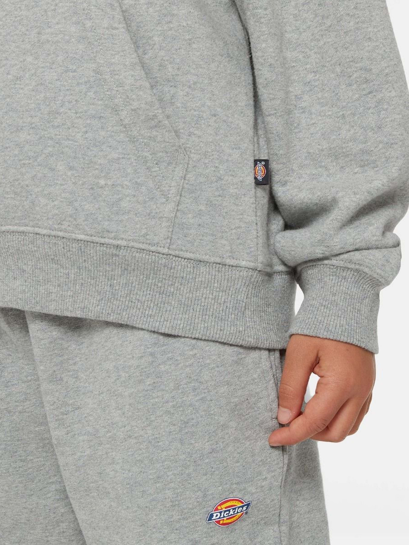 Худи Dickies Icon Logo модель DK0KWR270H21 Фото