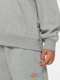 Худи Dickies Icon Logo модель DK0KWR270H21 Фото