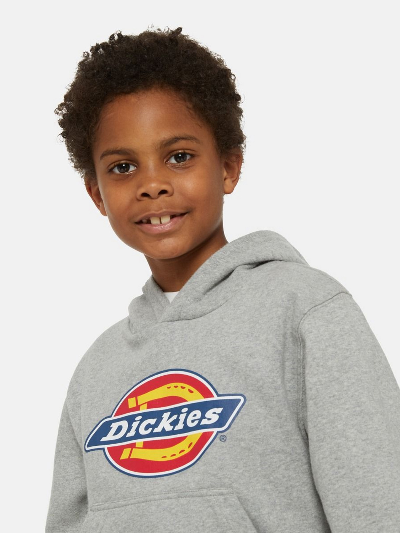 Худі Dickies Icon Logo модель DK0KWR270H21 Худі Dickies Icon Logo модель DK0KWR270H21 Фото